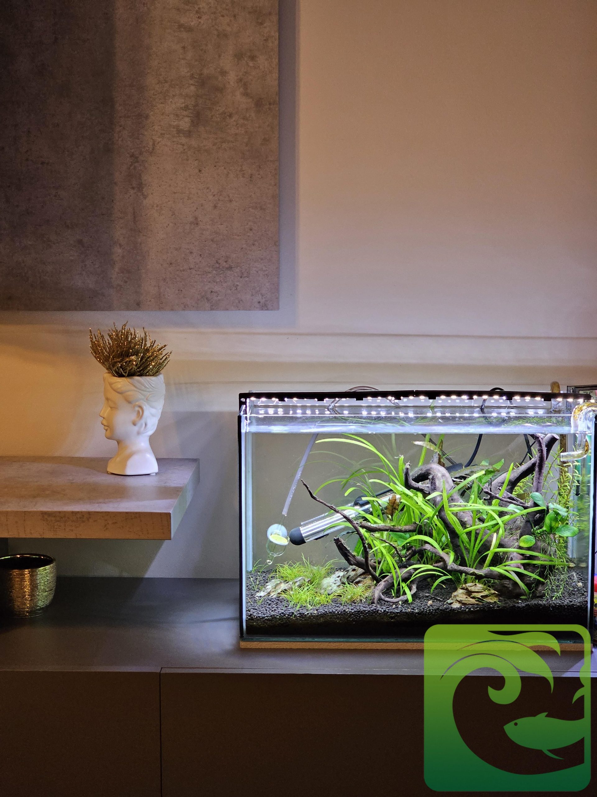 Bể thủy sinh mini để bàn đơn giản cực đẹp 2023 3 Bể thủy sinh mini để bàn đơn giản cực đẹp, bể thủy sinh mini, bể cá thủy sinh mini, bể thủy sinh mini đẹp, bể cá thủy sinh mini đẹp, cách làm bể cá thủy sinh, cách làm bể thủy sinh mini, giá bể thủy sinh mini, giá bể cá thủy sinh mini, cách chăm sóc bể thủy sinh mini, cách chăm scos bể cá thủy sinh