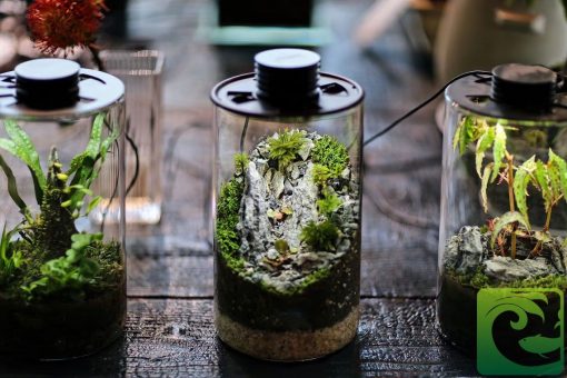 Đèn terrarium nắp đèn cho bình terrarium 4