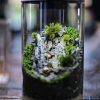 Đèn terrarium nắp đèn cho bình terrarium 1