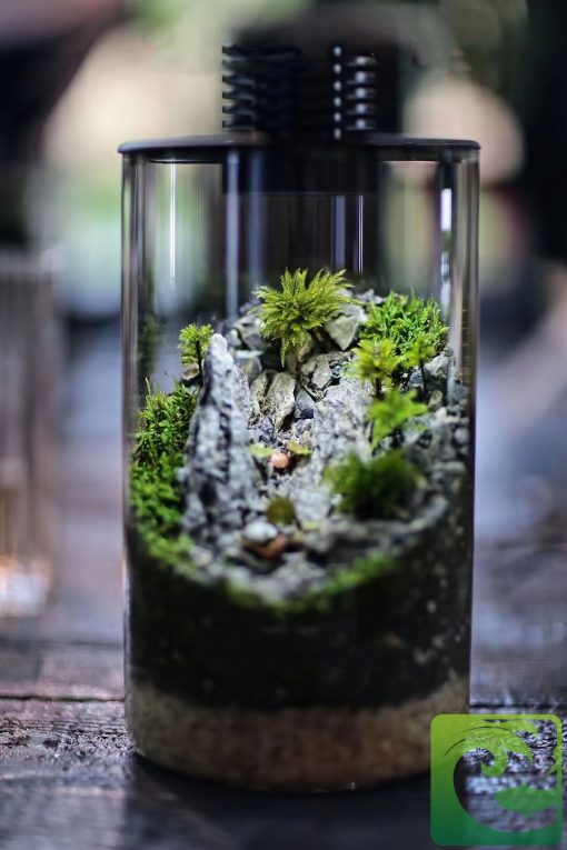 Đèn terrarium nắp đèn cho bình terrarium 3