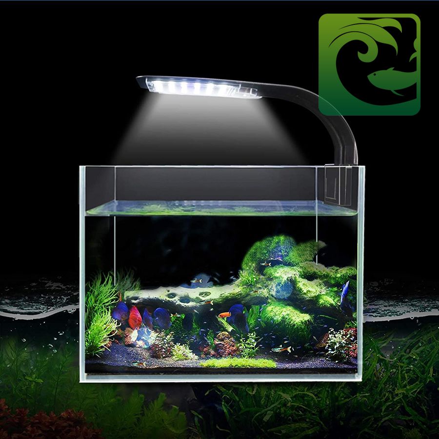 Những phụ kiện bể cá nên có khi nuôi cá cảnh 2023 4 phụ kiện bể cá, phụ kiện cá cảnh, phụ kiện làm bể cá, phụ kiện nuôi cá cảnh, bể cá cảnh giá rẻ, phụ kiện bể cá giá rẻ