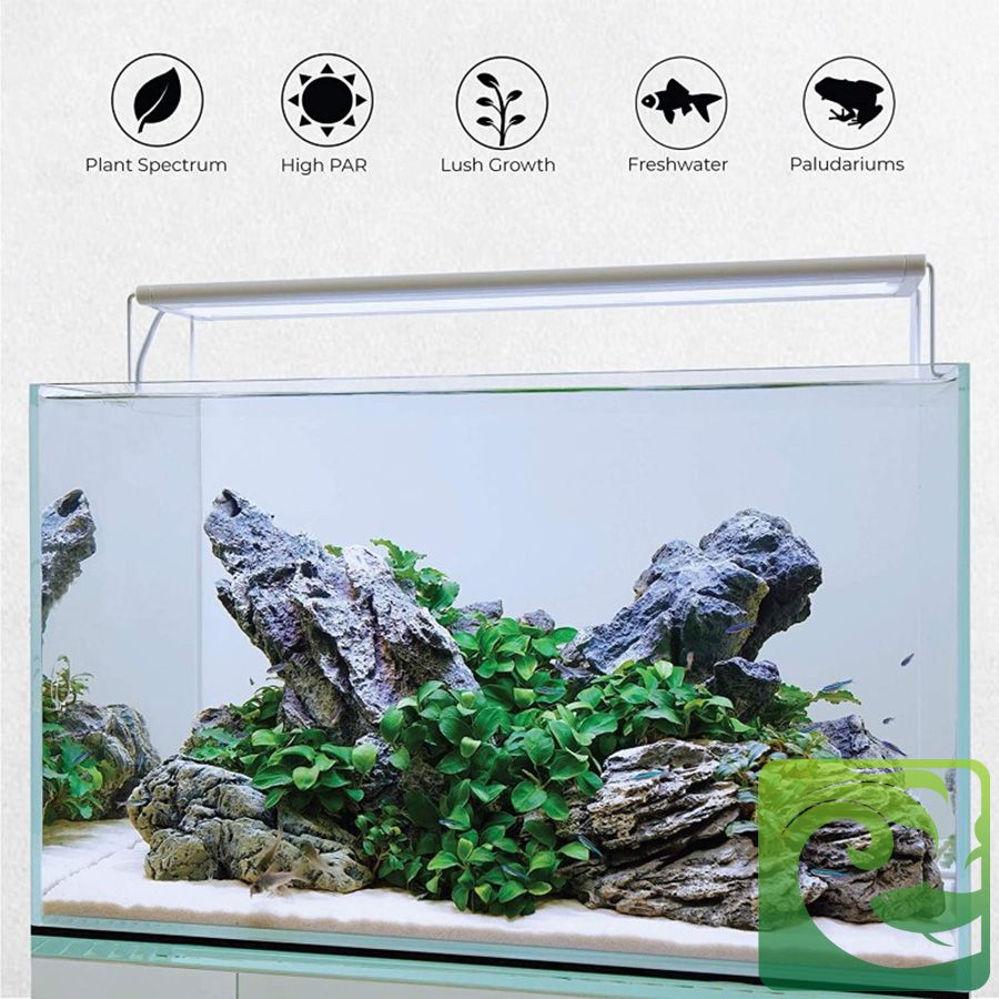 Tầm quan trọng về ánh sáng cho bể thủy sinh 2023, ánh sáng cho bể thủy sinh, đèn cho bể thủy sinh, cây thủy sinh có cần ánh sáng, thời gian chiếu sáng cho bể thủy sinh, Quang phổ đèn thủy sinh, Nhiệt độ màu ánh sáng cho bể thủy sinh