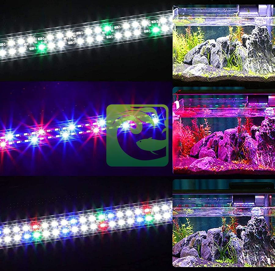 Tầm quan trọng về ánh sáng cho bể thủy sinh 2023, ánh sáng cho bể thủy sinh, đèn cho bể thủy sinh, cây thủy sinh có cần ánh sáng, thời gian chiếu sáng cho bể thủy sinh, Quang phổ đèn thủy sinh, Nhiệt độ màu ánh sáng cho bể thủy sinh