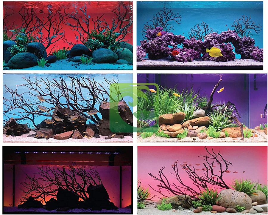 Tầm quan trọng về ánh sáng cho bể thủy sinh 2023, ánh sáng cho bể thủy sinh, đèn cho bể thủy sinh, cây thủy sinh có cần ánh sáng, thời gian chiếu sáng cho bể thủy sinh, Quang phổ đèn thủy sinh, Nhiệt độ màu ánh sáng cho bể thủy sinh