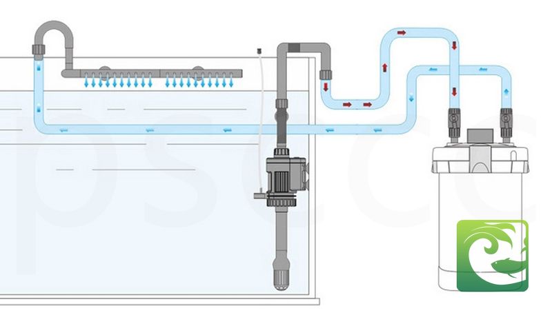 Cách tính công suất hệ thống lọc bể cá thủy sinh 2 hệ thống lọc bể cá, cách tính công suất lọc bể cá, tính công suất máy bơm cho bể cá, lọc cho bể thủy sinh, lọc bể cá thủy sinh, máy lọc bể cá thủy sinh