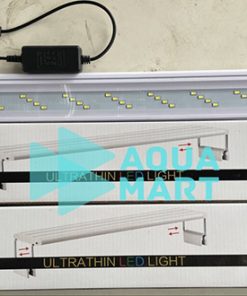 Đèn led trắng Xuanmeilong XML-50/10W 5