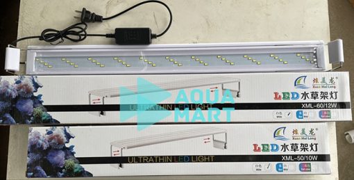 Đèn led trắng Xuanmeilong XML-60/12W 4