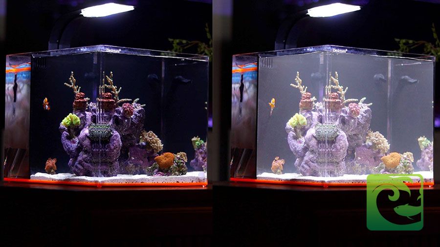 Nguyên nhân nước bể cá bị đục & Cách làm trong nước bể cá 3 nước bể cá bị đục, cách làm trong nước bể cá, cách xử lý nước bể cá bị đục, cách làm nước bể cá trong vắt, dung dịch làm trong nước bể cá, nước bể cá đục, bể cá bị đục nước