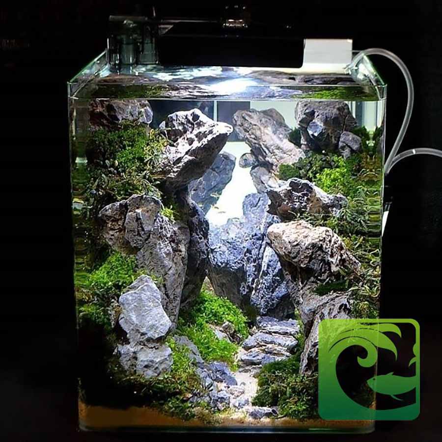 Ý tưởng bể cá mini để bàn đẹp cho văn phòng 3 Ý tưởng bể cá mini để bàn đẹp cho văn phòng, bể cá mini để bàn, cá cảnh văn phòng, bể cá mini văn phòng, bể cá cảnh mini, các loại cá cảnh nuôi trong bể mini, bể thủy sinh mini, bể cá mini đẹp, mua bể cá mini, bể cá để bàn làm việc, bể cá mini để bàn làm việc tại hà nội