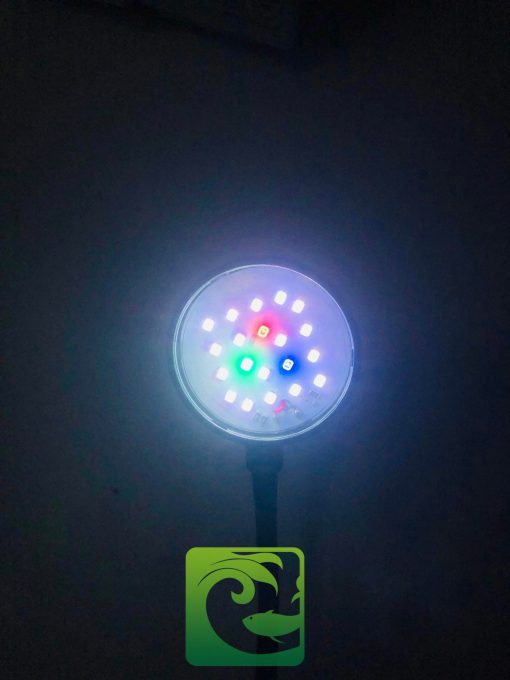 Đèn led bể cá thủy sinh mini Coco JY-25 6