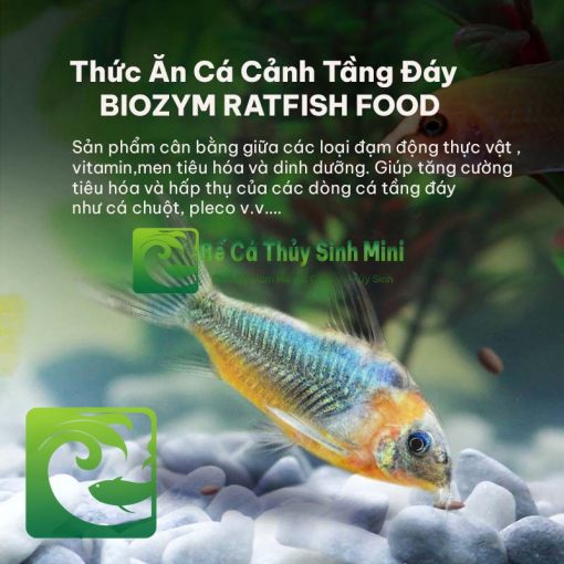 Thức ăn cho cá cảnh Biozym Ratfish Food 4