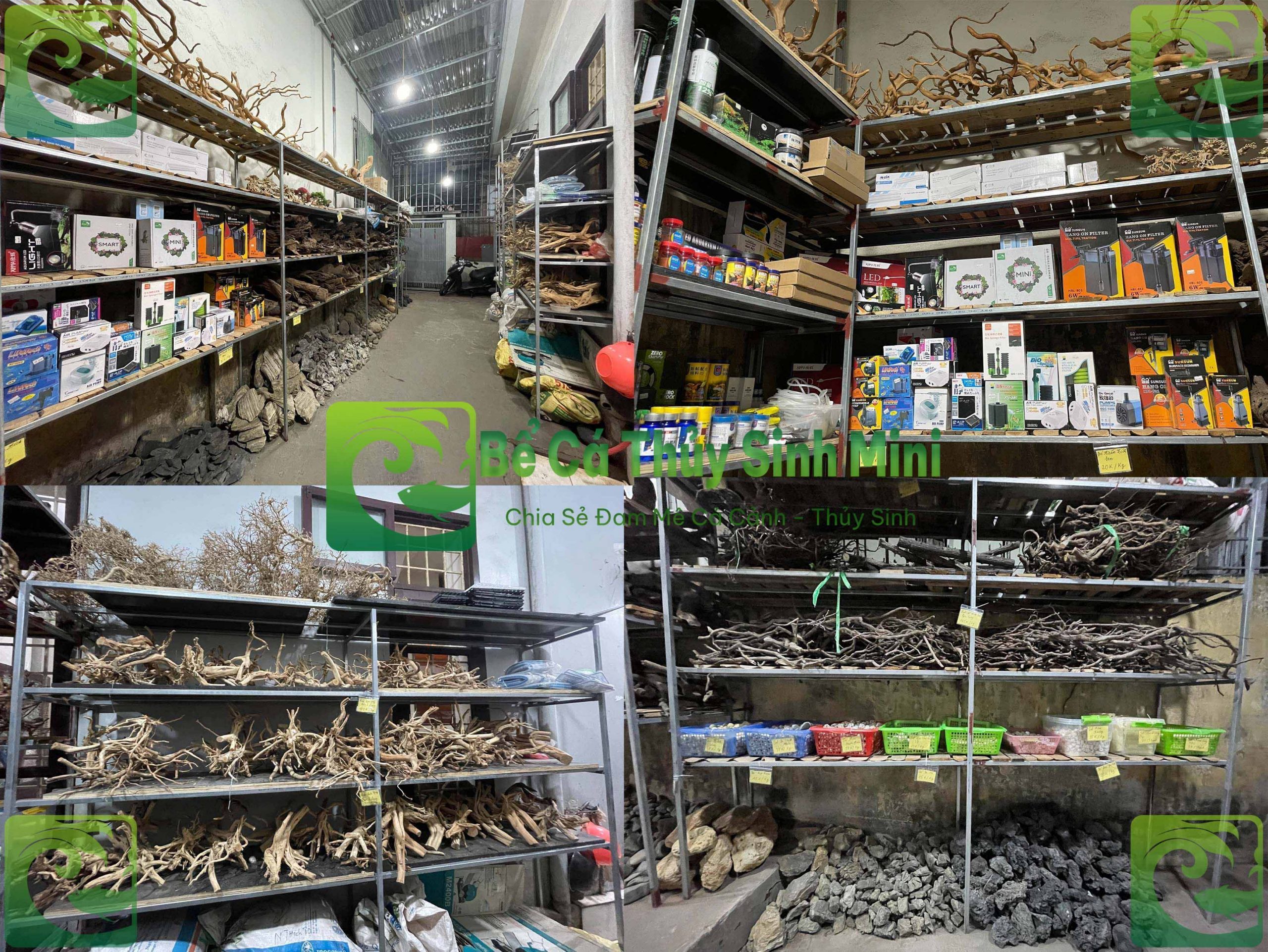 Địa Chỉ Mua Thức Ăn Cho Cá Cảnh Tại Hà Nội 10