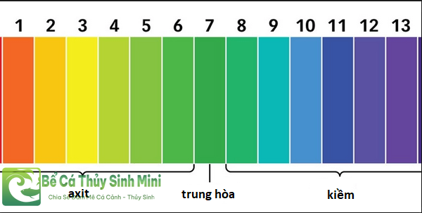 độ ph của nước nuôi cá cảnh, cách làm tăng độ ph trong nước nuôi cá, cách làm giảm ph nước nuôi cá, cách giảm độ ph trong nước nuôi cá, cách giảm ph nước nuôi cá