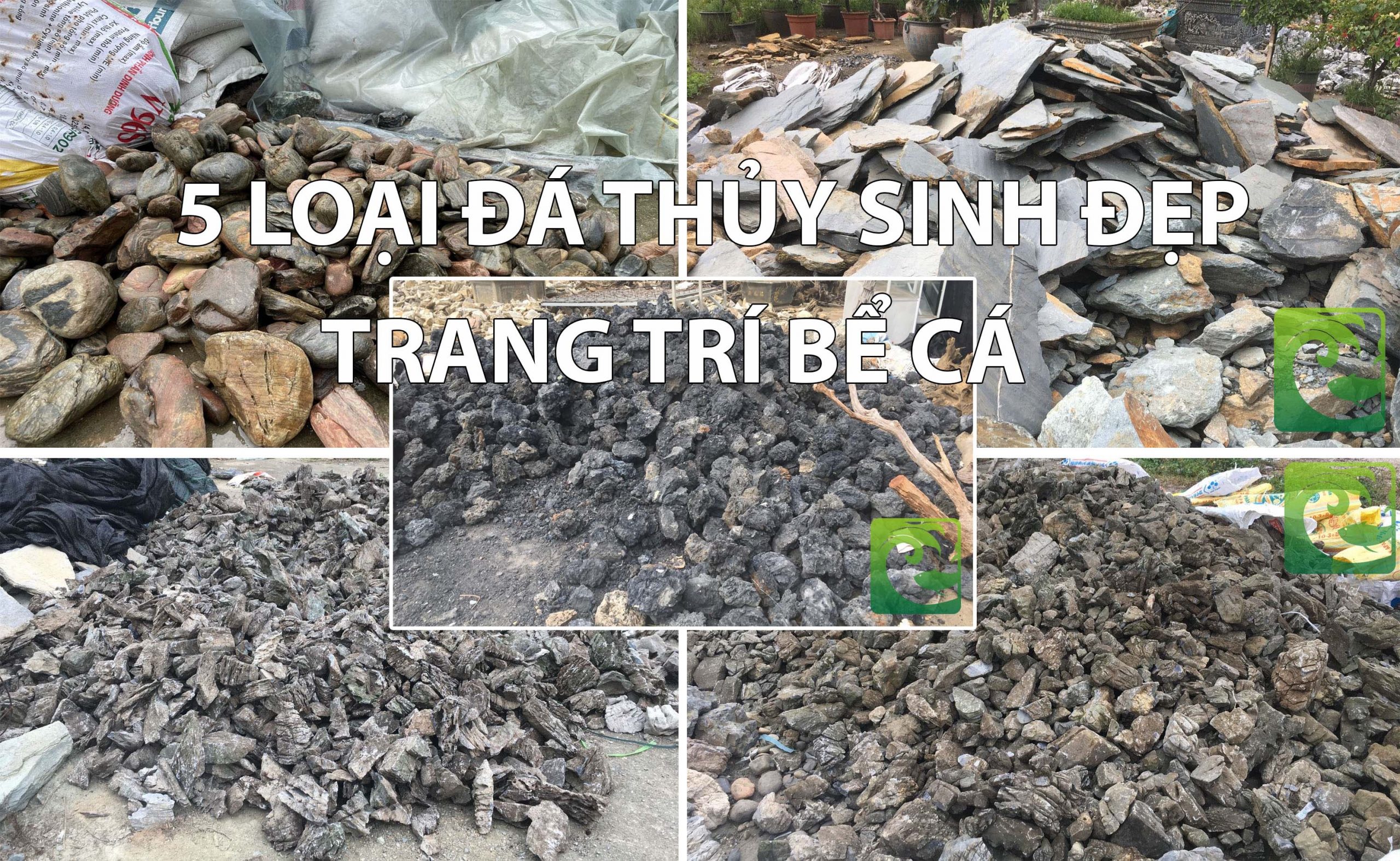 5 loại đá thủy sinh đẹp để trang trí bể cá 4