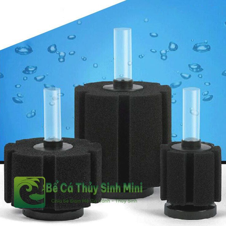 lọc bể cá, hệ thống lọc bể cá, hệ thống lọc nước bể cá, máy lọc nước bể cá, máy lọc bể cá, lọc thác mini, vật liệu lọc bể cá, lọc nước bể cá, lọc bể cá mini, lọc thùng bể cá, lọc tràn bể cá, lọc sủi vi sinh bio, lọc treo bể cá, lọc vách ngăn, lọc tràn trên bể cá, lọc tràn dưới bể cá