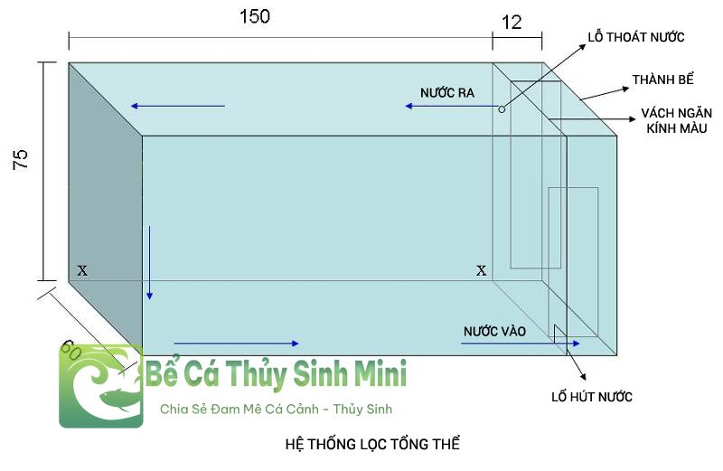 lọc bể cá, hệ thống lọc bể cá, hệ thống lọc nước bể cá, máy lọc nước bể cá, máy lọc bể cá, lọc thác mini, vật liệu lọc bể cá, lọc nước bể cá, lọc bể cá mini, lọc thùng bể cá, lọc tràn bể cá, lọc sủi vi sinh bio, lọc treo bể cá, lọc vách ngăn, lọc tràn trên bể cá, lọc tràn dưới bể cá
