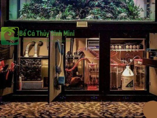 lọc bể cá, hệ thống lọc bể cá, hệ thống lọc nước bể cá, máy lọc nước bể cá, máy lọc bể cá, lọc thác mini, vật liệu lọc bể cá, lọc nước bể cá, lọc bể cá mini, lọc thùng bể cá, lọc tràn bể cá, lọc sủi vi sinh bio, lọc treo bể cá, lọc vách ngăn, lọc tràn trên bể cá, lọc tràn dưới bể cá