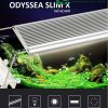 Đèn thủy sinh cao cấp Odyssea slim x 1